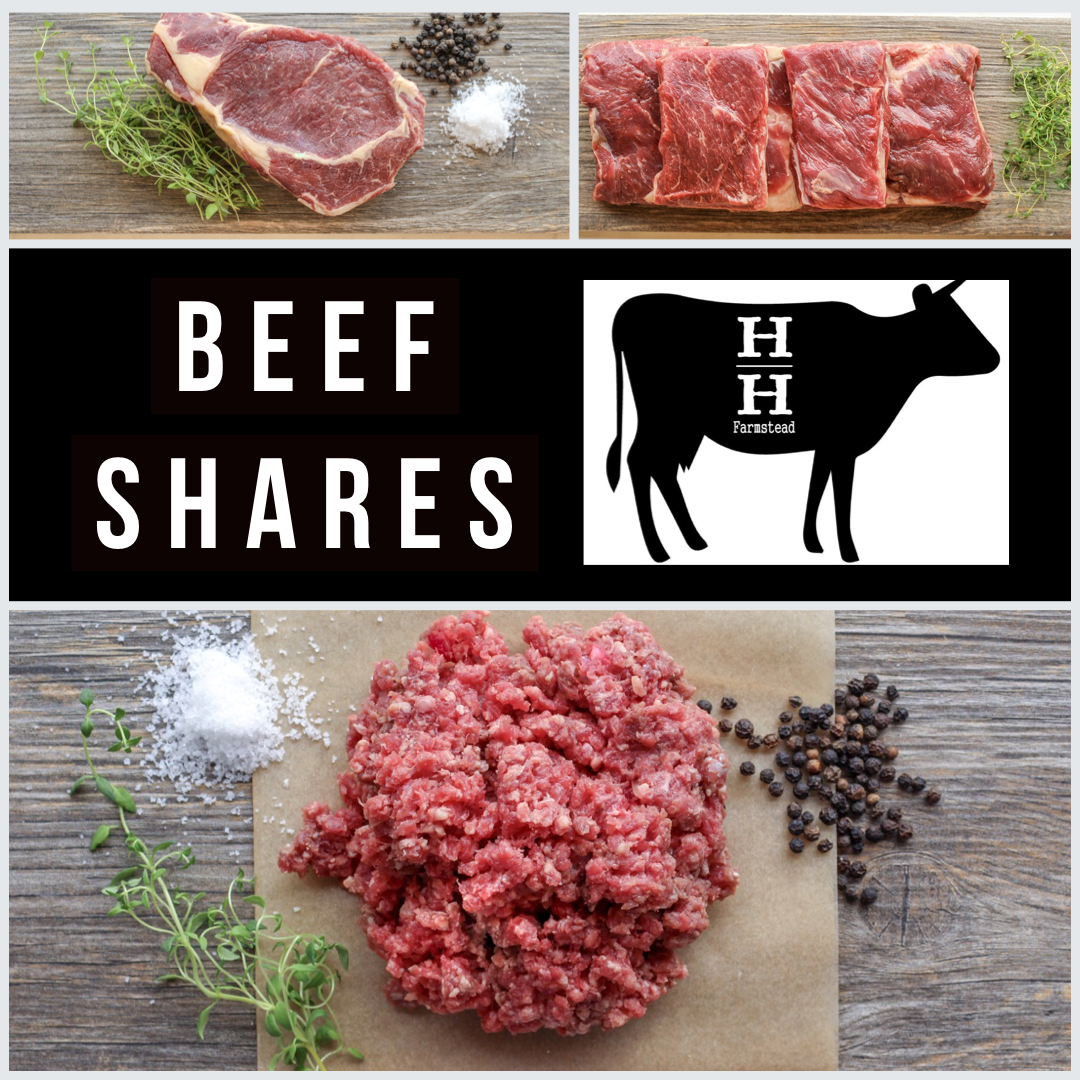 Beef Shares